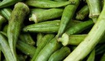 How to Grow Okra From Seeds