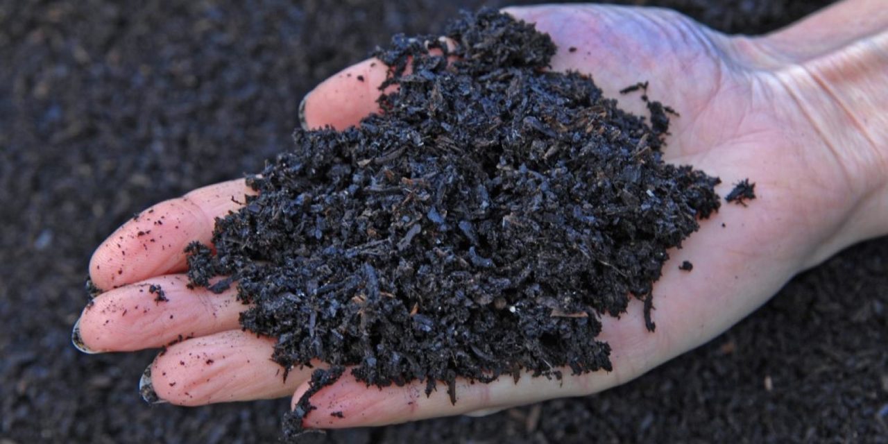 5 Best Soil Amendments You Wish You Knew About Sooner!