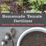 How to Make Tomato Fertilizer