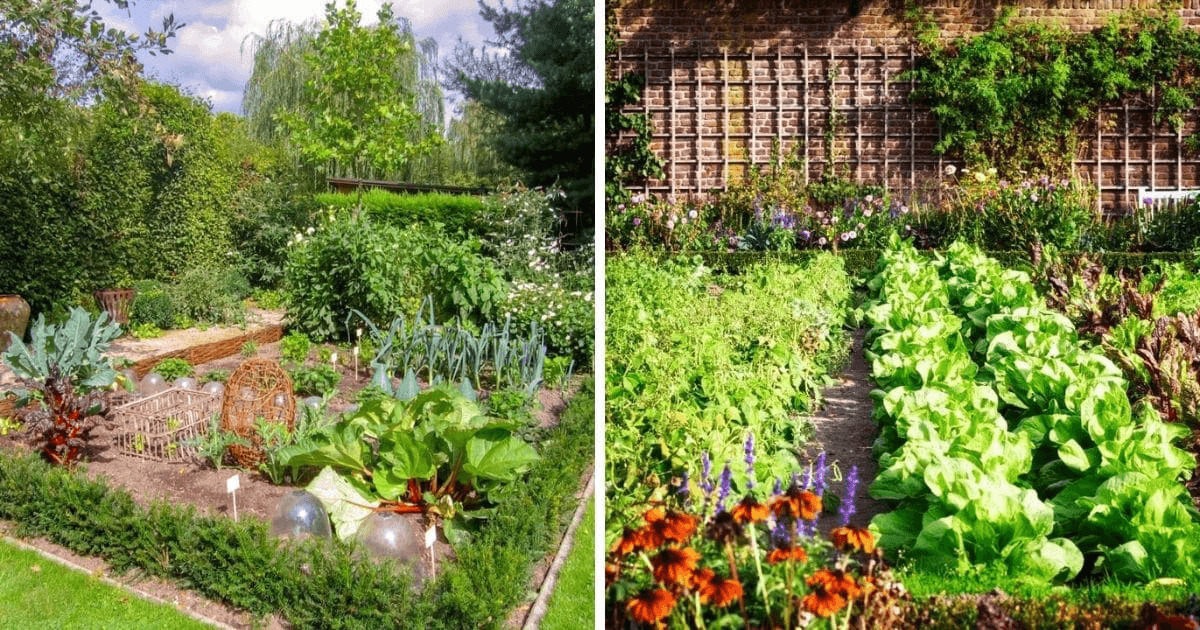What is Edible Landscaping and How to Start Your Own Edible Garden