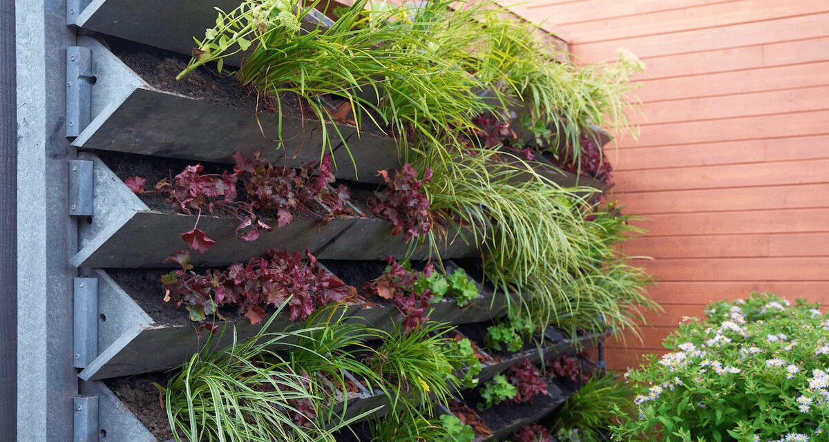 The Benefits of Vertical Gardening in Small Spaces