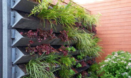 Vertical Gardening: Innovative Ideas for Urban Spaces
