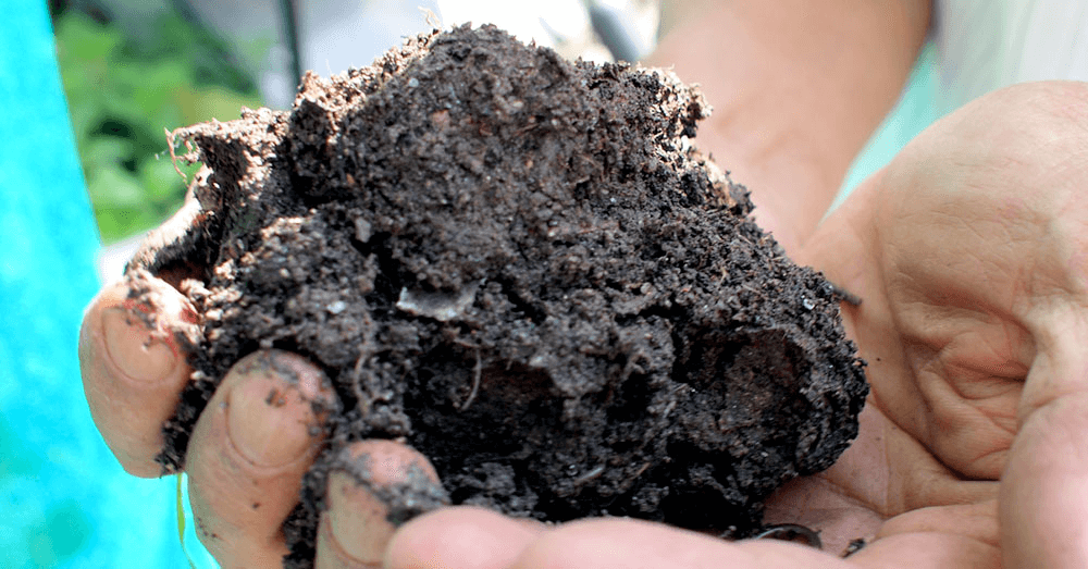 Using Biochar in Gardens: Pros, Cons, and How-To
